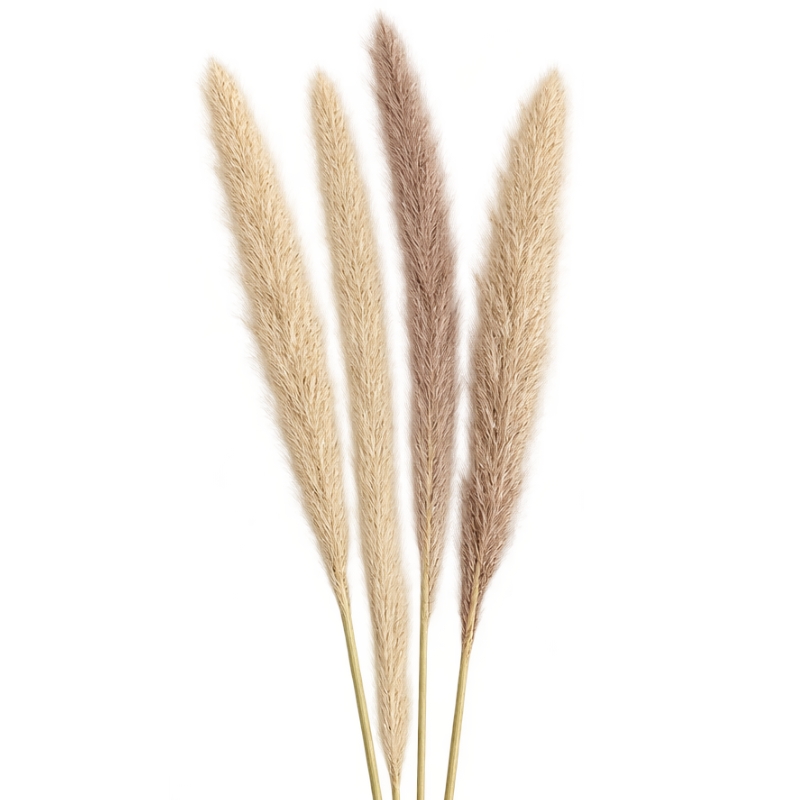 atiladecor - 6190